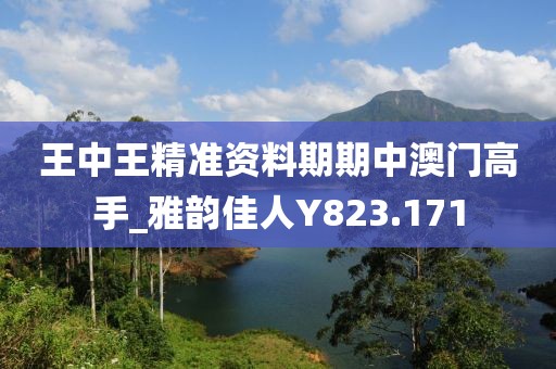 王中王精准资料期期中澳门高手_雅韵佳人Y823.171