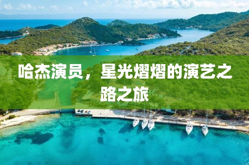 哈杰演员，星光熠熠的演艺之路之旅