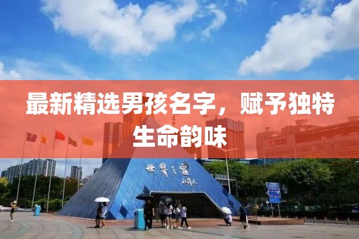 最新精选男孩名字，赋予独特生命韵味