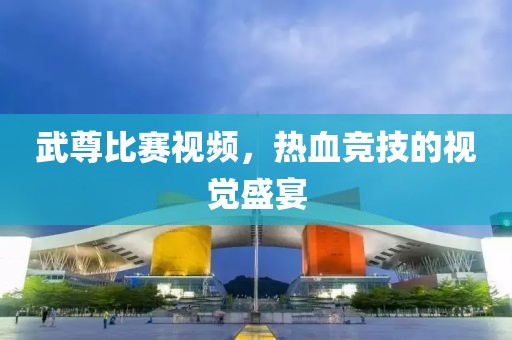 武尊比赛视频，热血竞技的视觉盛宴