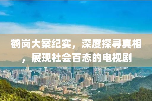 鹤岗大案纪实，深度探寻真相，展现社会百态的电视剧