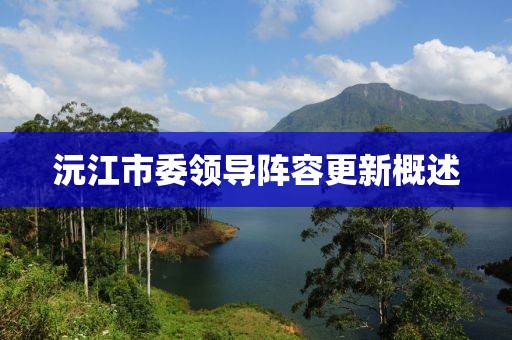 沅江市委领导阵容更新概述