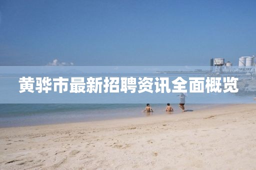 黄骅市最新招聘资讯全面概览