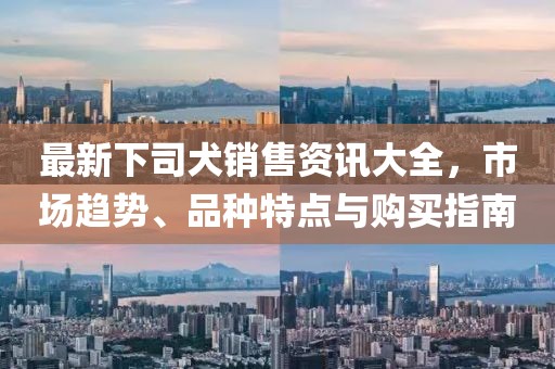 最新下司犬销售资讯大全，市场趋势、品种特点与购买指南