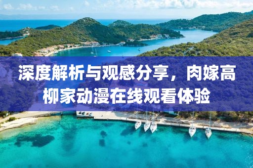 深度解析与观感分享，肉嫁高柳家动漫在线观看体验