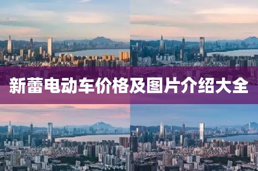 新蕾电动车价格及图片介绍大全