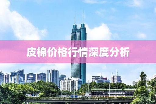 皮棉价格行情深度分析