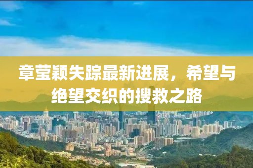 章莹颖失踪最新进展，希望与绝望交织的搜救之路