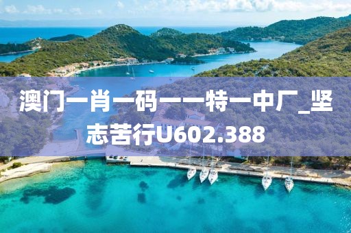 澳门一肖一码一一特一中厂_坚志苦行U602.388