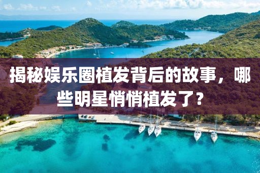 揭秘娱乐圈植发背后的故事，哪些明星悄悄植发了？