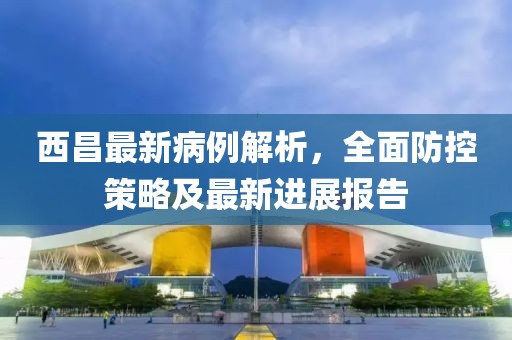 西昌最新病例解析，全面防控策略及最新进展报告