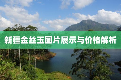 新疆金丝玉图片展示与价格解析