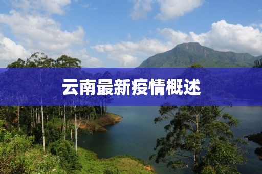 云南最新疫情概述