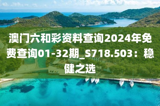 澳门六和彩资料查询2024年免费查询01-32期_S718.503：稳健之选