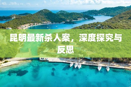 昆明最新杀人案，深度探究与反思