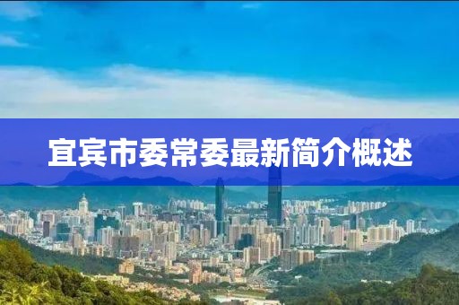 宜宾市委常委最新简介概述
