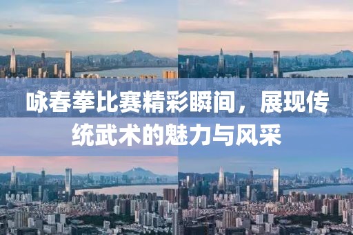 咏春拳比赛精彩瞬间，展现传统武术的魅力与风采