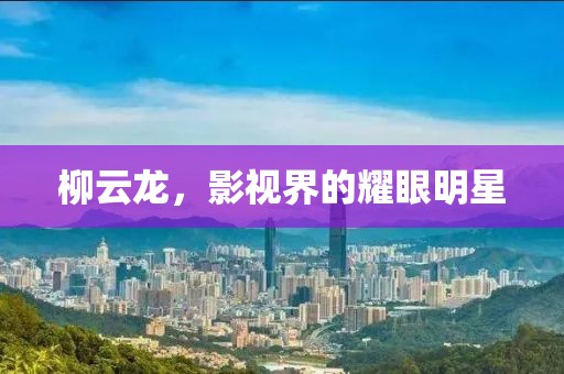 柳云龙，影视界的耀眼明星
