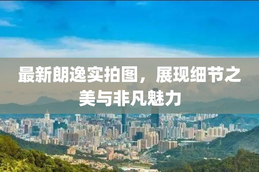 最新朗逸实拍图，展现细节之美与非凡魅力