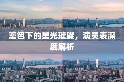 篱笆下的星光璀璨，演员表深度解析