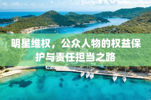 明星维权，公众人物的权益保护与责任担当之路