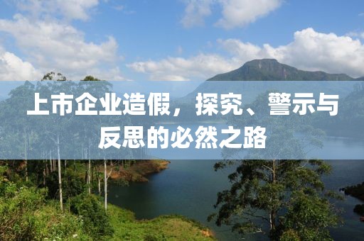 上市企业造假，探究、警示与反思的必然之路