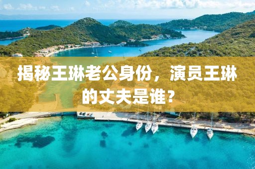 揭秘王琳老公身份，演员王琳的丈夫是谁？