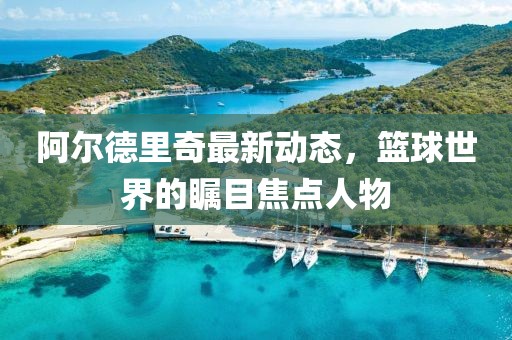 阿尔德里奇最新动态，篮球世界的瞩目焦点人物