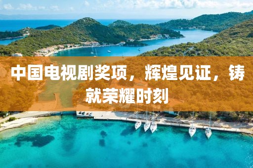 中国电视剧奖项，辉煌见证，铸就荣耀时刻