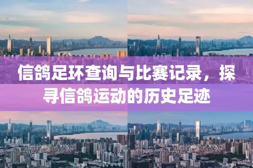 信鸽足环查询与比赛记录，探寻信鸽运动的历史足迹