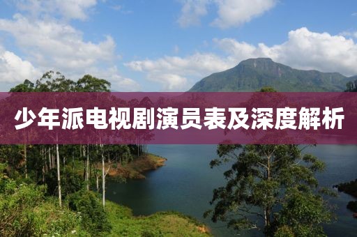 少年派电视剧演员表及深度解析