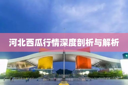 河北西瓜行情深度剖析与解析