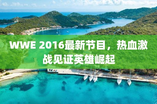 WWE 2016最新节目，热血激战见证英雄崛起
