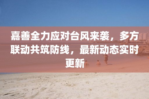 嘉善全力应对台风来袭，多方联动共筑防线，最新动态实时更新