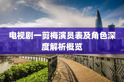 电视剧一剪梅演员表及角色深度解析概览