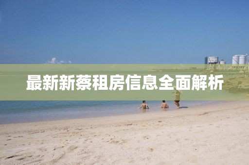 最新新蔡租房信息全面解析