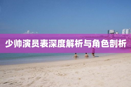 少帅演员表深度解析与角色剖析