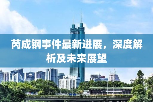 芮成钢事件最新进展，深度解析及未来展望