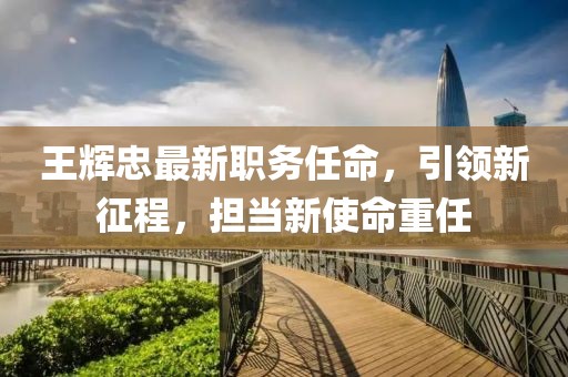 王辉忠最新职务任命，引领新征程，担当新使命重任