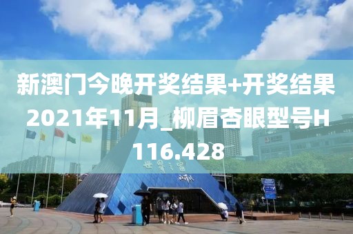 新澳门今晚开奖结果+开奖结果2021年11月_柳眉杏眼型号H116.428