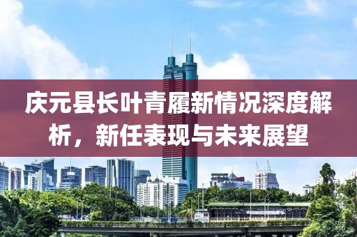 庆元县长叶青履新情况深度解析，新任表现与未来展望
