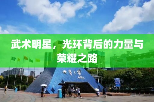 武术明星，光环背后的力量与荣耀之路