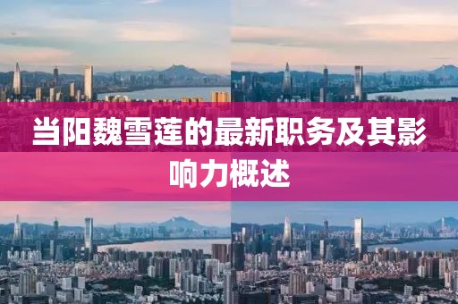 当阳魏雪莲的最新职务及其影响力概述