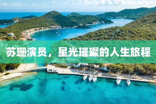 苏珊演员，星光璀璨的人生旅程
