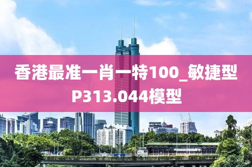 香港最准一肖一特100_敏捷型P313.044模型