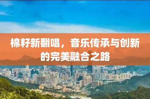 棉籽新翻唱，音乐传承与创新的完美融合之路