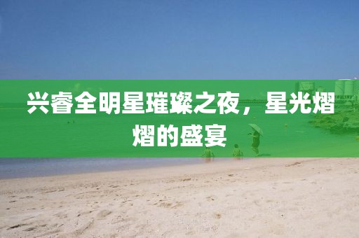 兴睿全明星璀璨之夜，星光熠熠的盛宴