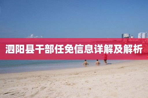 泗阳县干部任免信息详解及解析