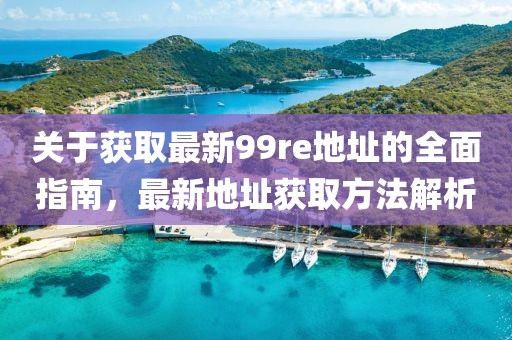 关于获取最新99re地址的全面指南，最新地址获取方法解析