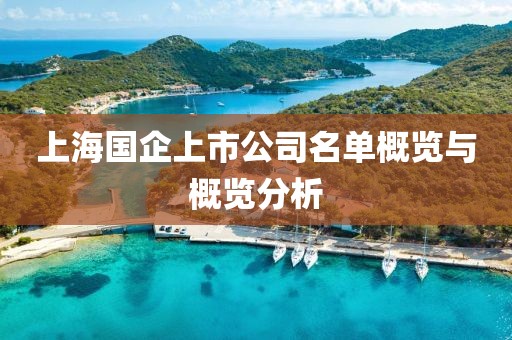 上海国企上市公司名单概览与概览分析